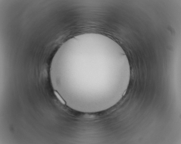 X0000113100570200910091142