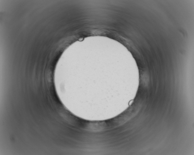 X0000113100571200910091142