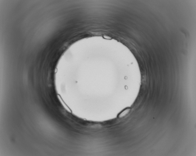 X0000113100572200910091142