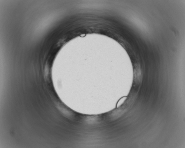 X0000113100574200910091142