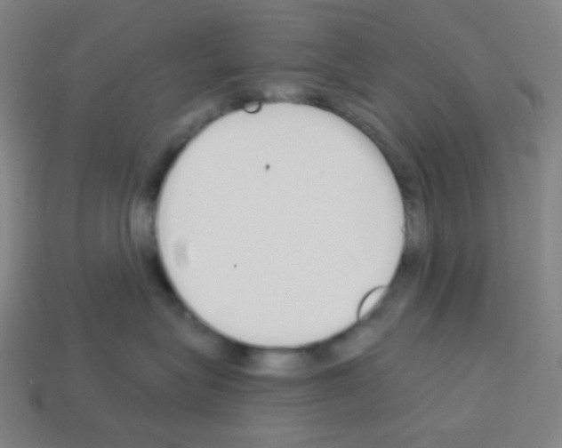 X0000113100575200910091142
