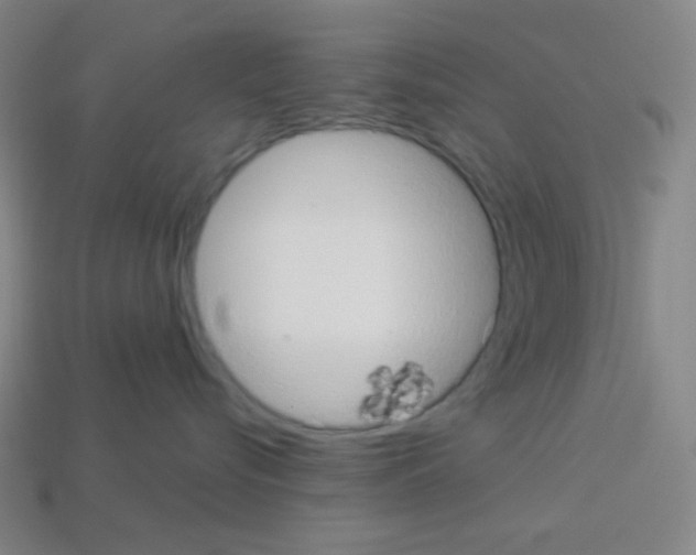 X0000113100576200910091142