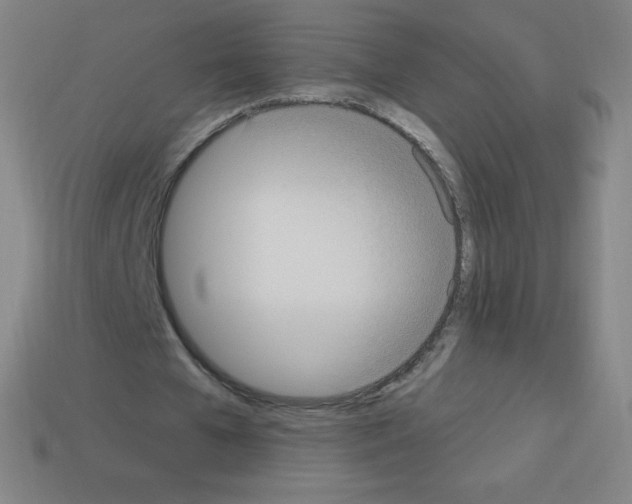 X0000113100577200910091141