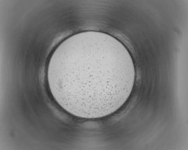 X0000113100578200910091141