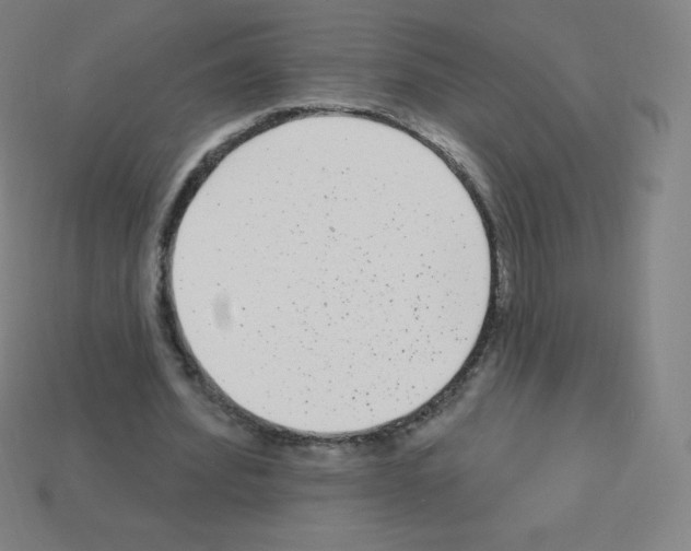 X0000113100580200910091141