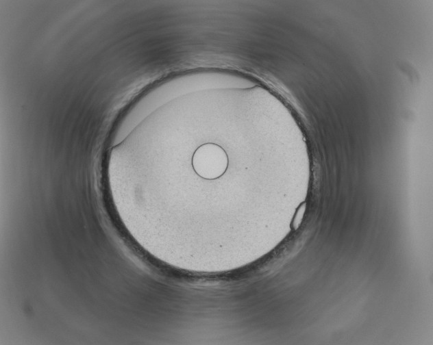 X0000113100581200910091141