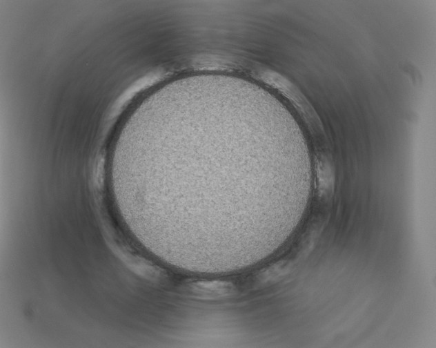 X0000113100583200910091141