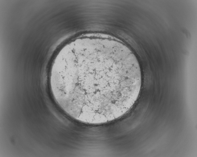 X0000113100584200910091141
