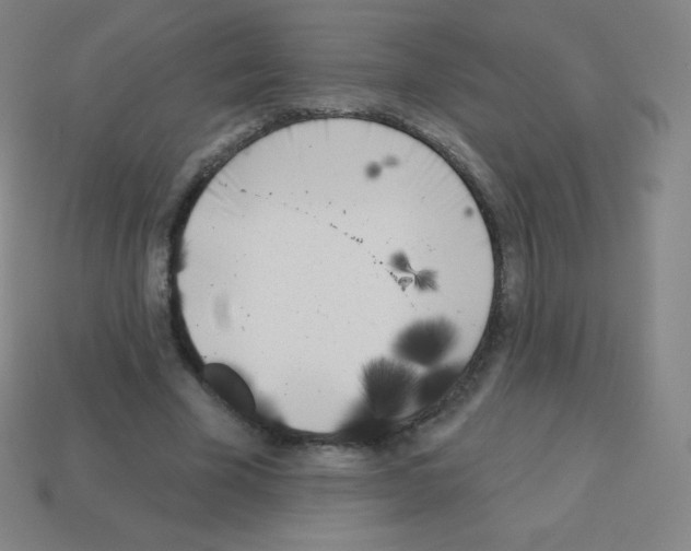 X0000113100585200910091141