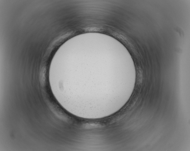 X0000113100586200910091141