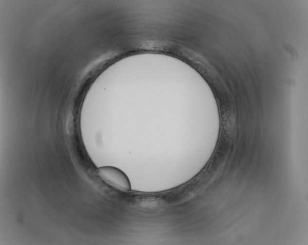 X0000113100587200910091141