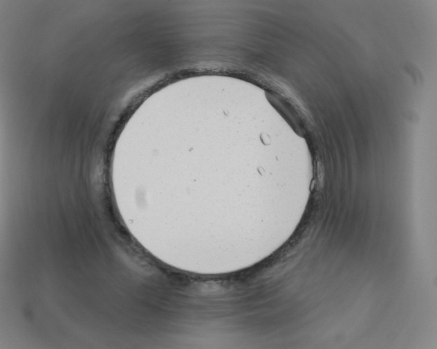 X0000113100588200910091141