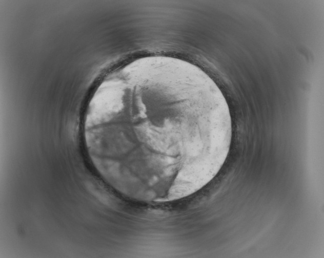 X0000113100592200910091141