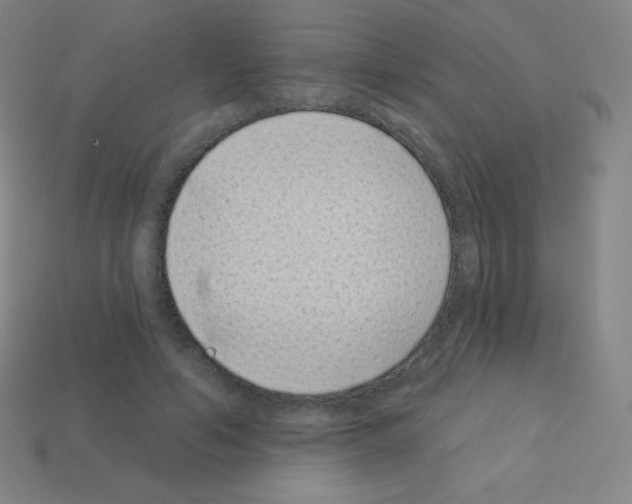 X0000113100594200910091141