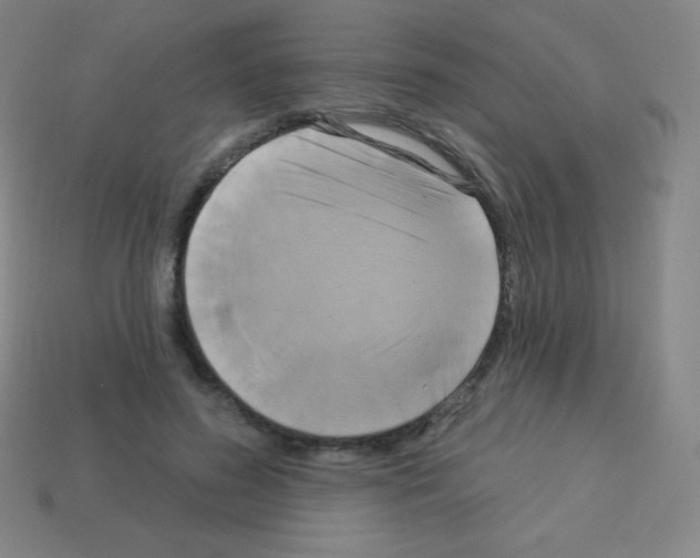 X0000113100596200910091141