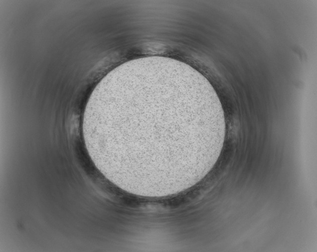 X0000113100598200910091141