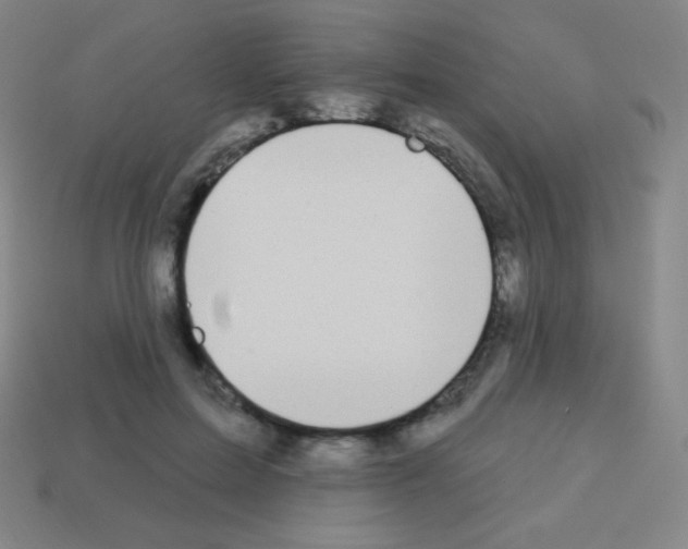 X0000113100599200910091141