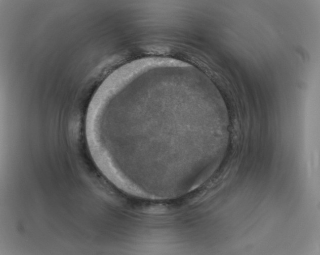 X0000113100600200910091141