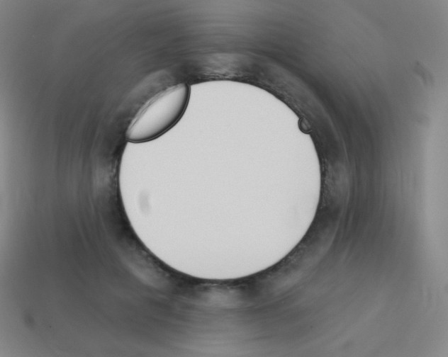 X0000113100601200910091141