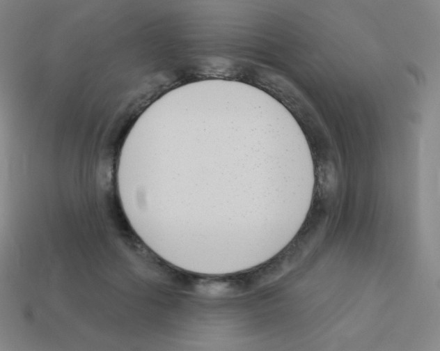 X0000113100602200910091141