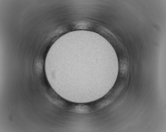 X0000113100603200910091141