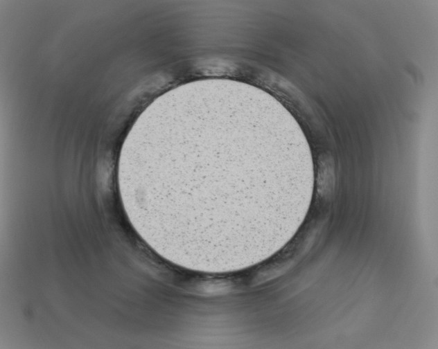 X0000113100604200910091141