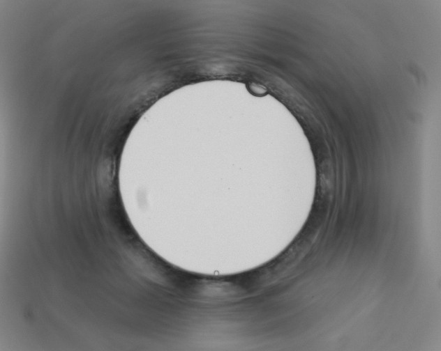 X0000113100605200910091141