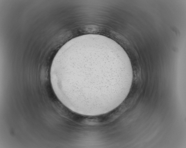 X0000113100606200910091141