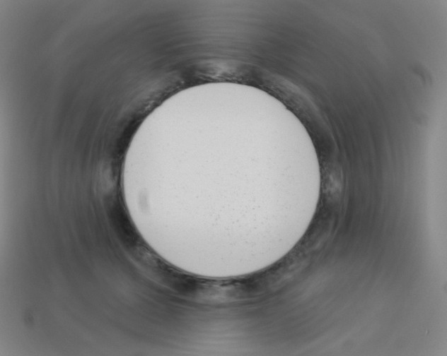 X0000113100607200910091141