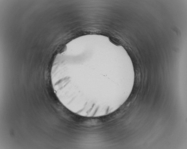 X0000113100609200910091141