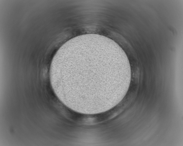 X0000113100610200910091141