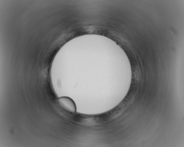 X0000113100611200910091141