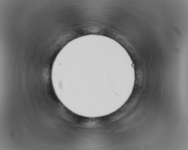 X0000113100612200910091141