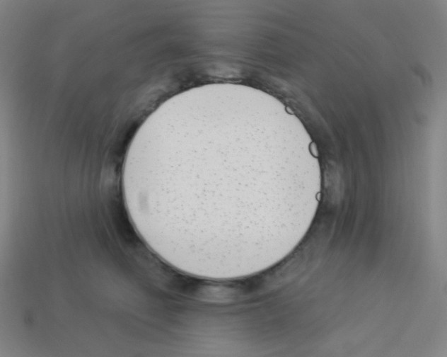 X0000113100614200910091141