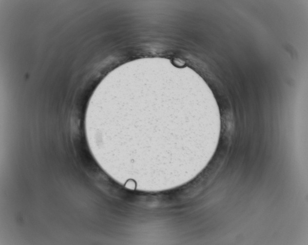 X0000113100615200910091141