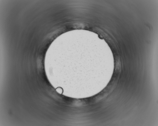 X0000113100616200910091141
