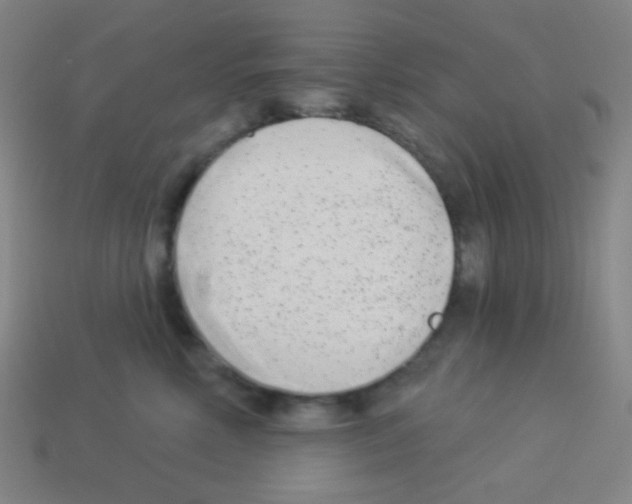 X0000113100618200910091141