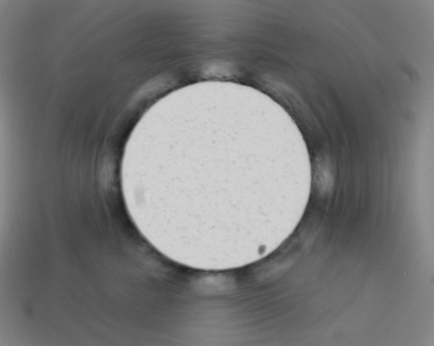 X0000113100619200910091141