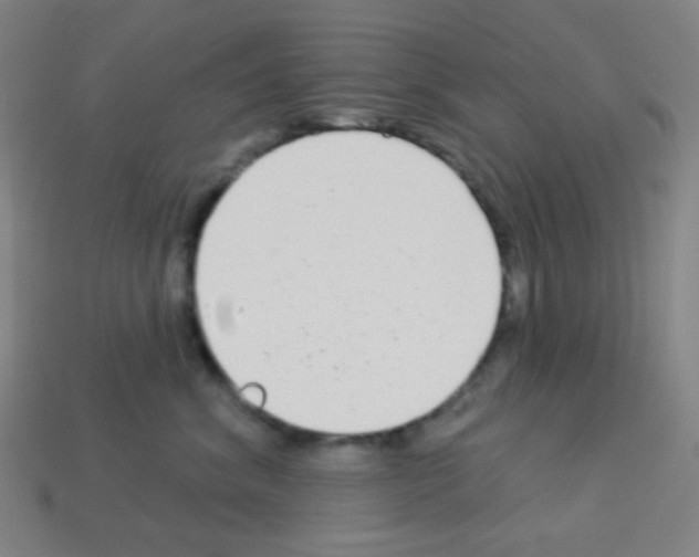 X0000113100620200910091140