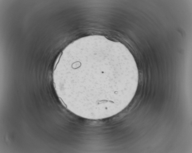 X0000113100621200910091140