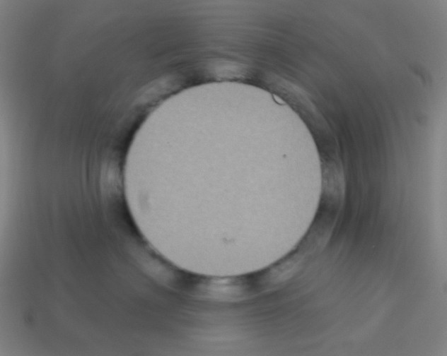 X0000113100622200910091140