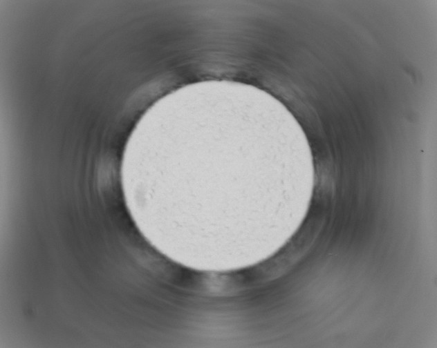 X0000113100623200910091140