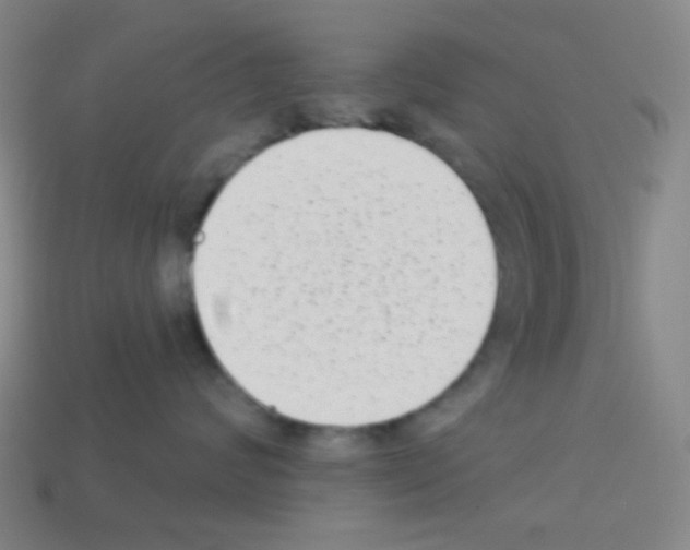X0000113100624200910091140