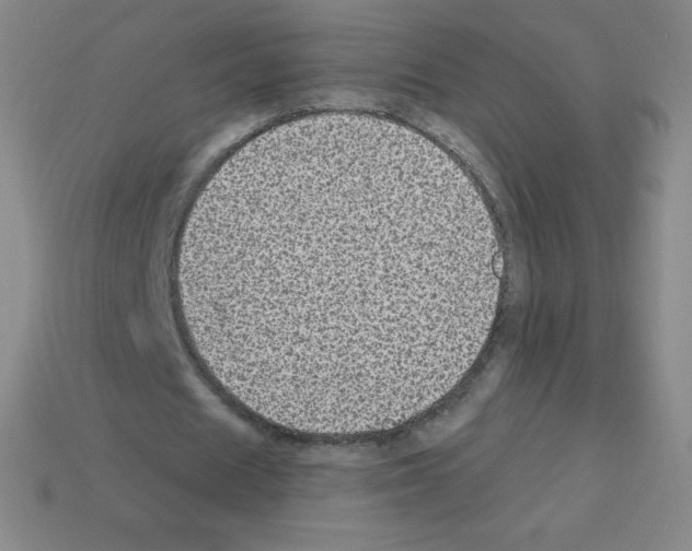 X0000113100625200910091140