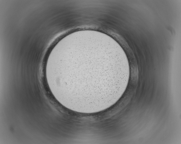 X0000113100628200910091140
