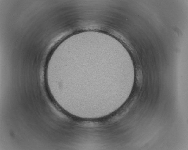 X0000113100629200910091140