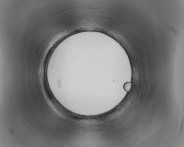 X0000113100630200910091140