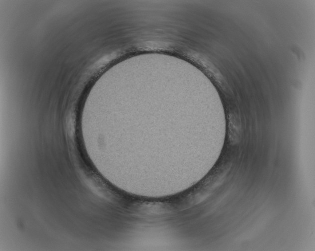 X0000113100631200910091140