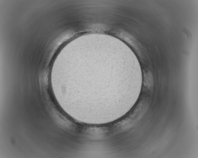 X0000113100632200910091140
