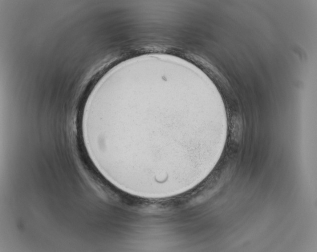 X0000113100634200910091140